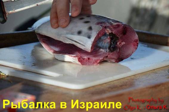 рыбалка в Израиле видео