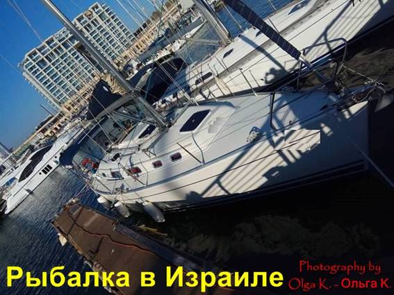 где порыбачить в Израиле