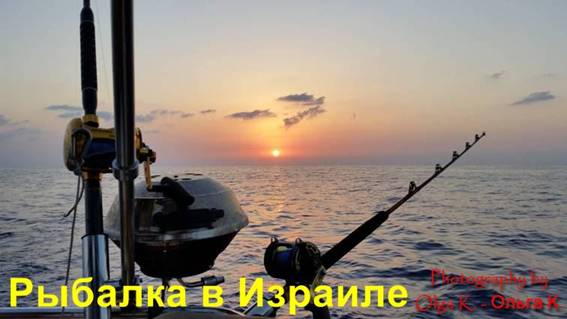 ловля форели в Израиле